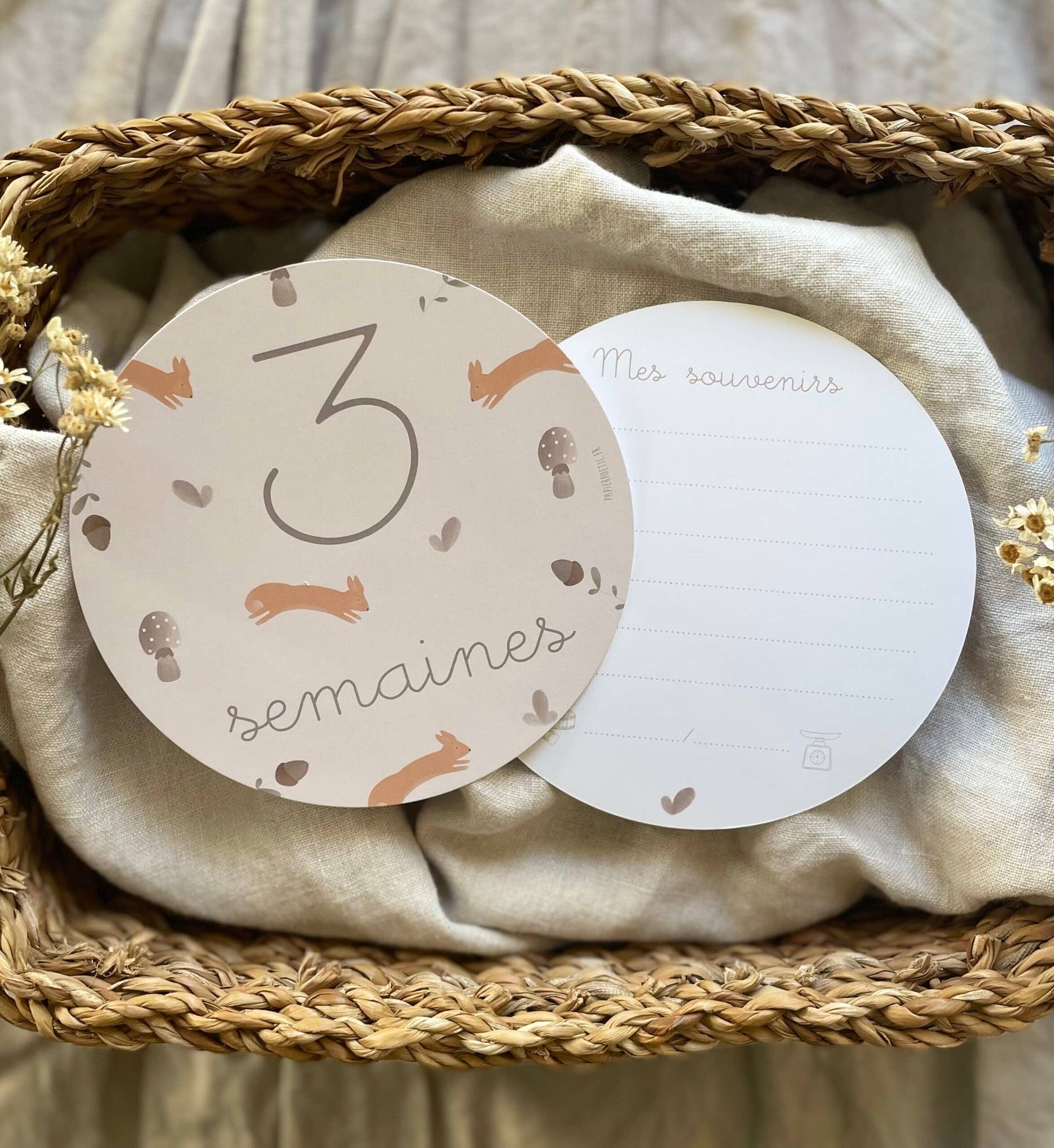 Cartes étapes – “Ma première année” Brindilles