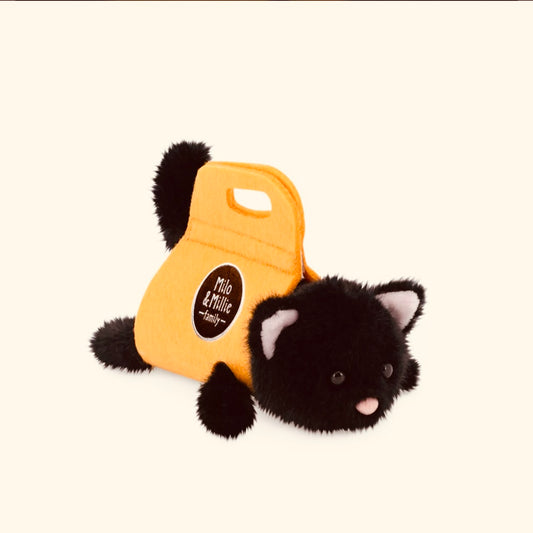 Chaton noir de Millie