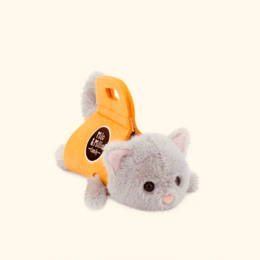 Chaton gris de Millie