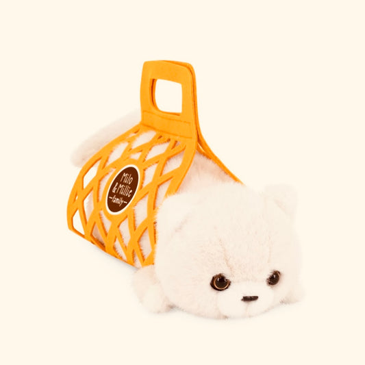 Milo le papa chat blanc