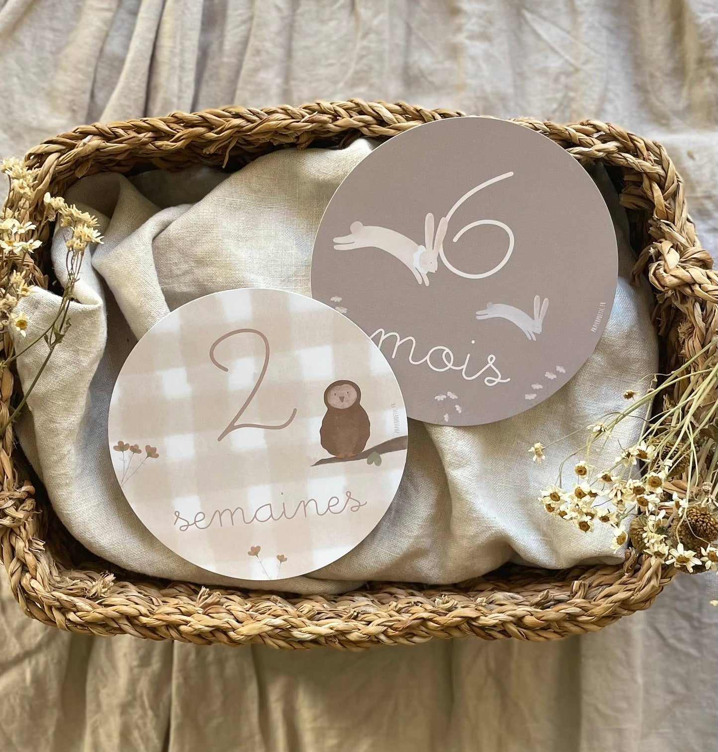 Cartes étapes – “Ma première année” Brindilles