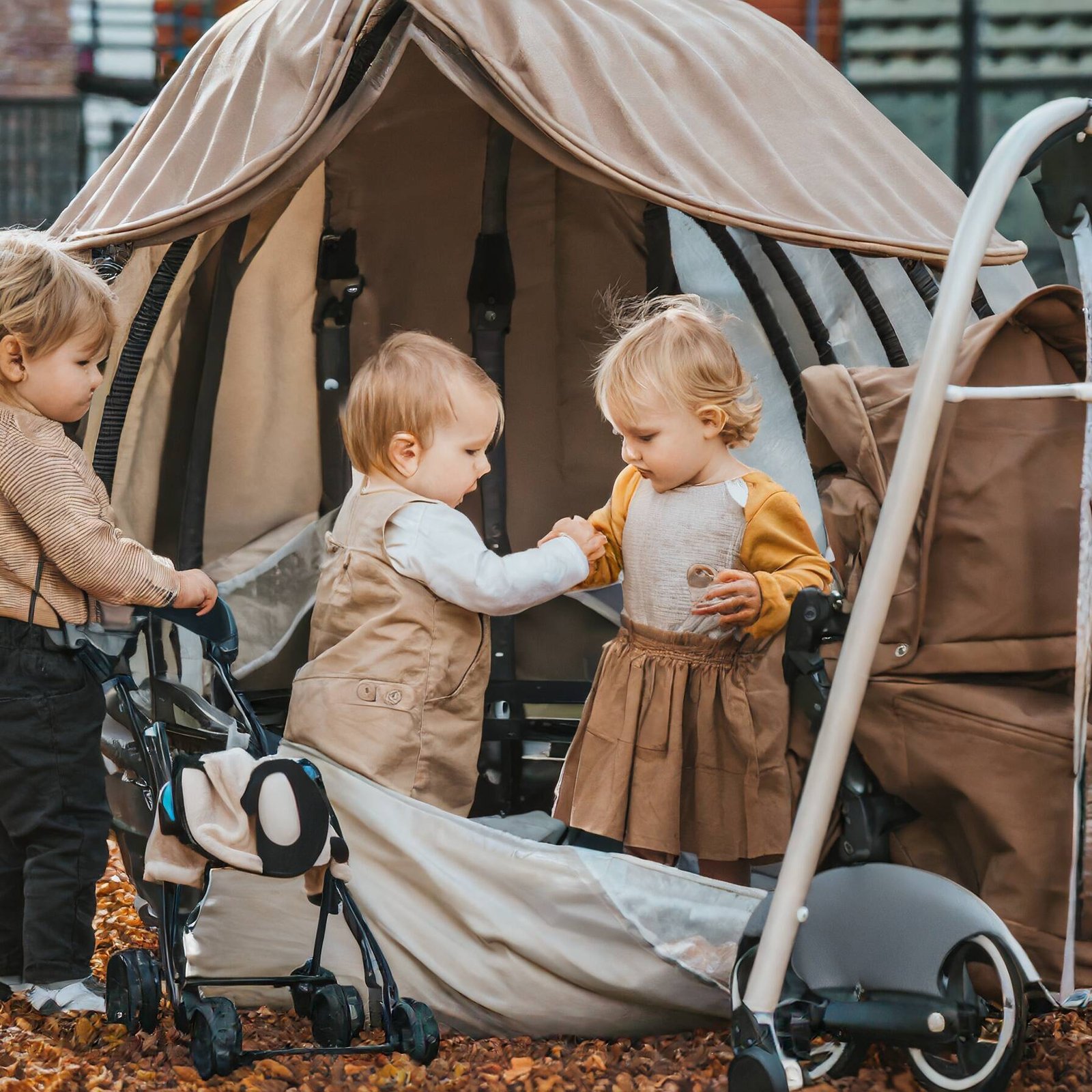 Firefly parc pour enfant en pleine air en automne avec des bebes habille en beige et marron avec des uai